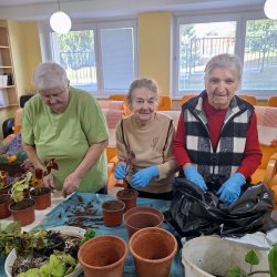 Skrášľujeme si domov